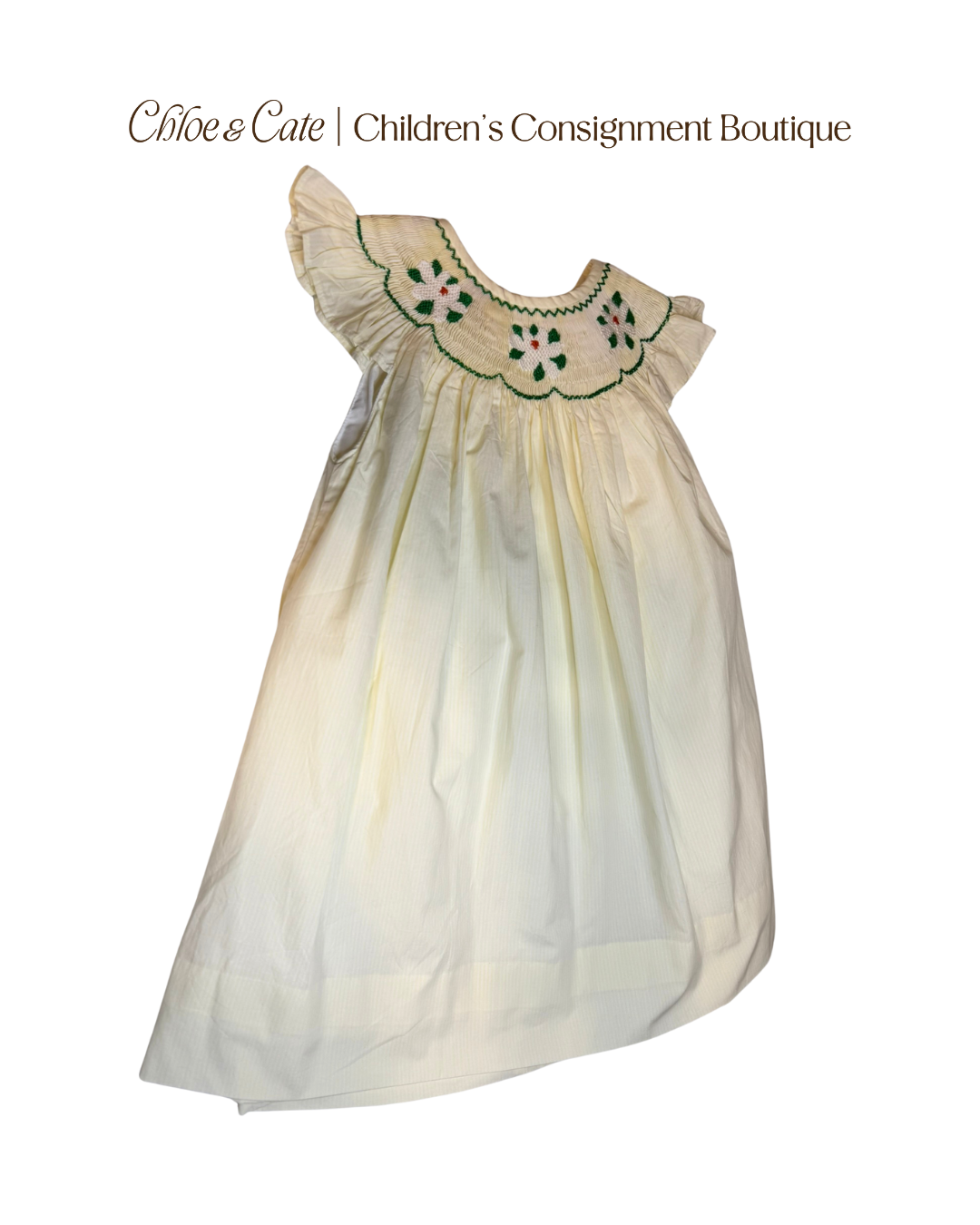 Girls Little Bear Smocks Dress New with Tags 2T