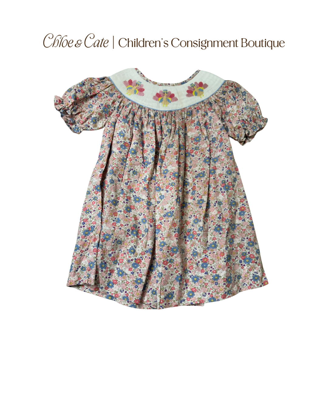 Girls Teeta Smocked Turkey Dress with Shorts 3T