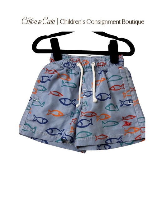 Boys Southbound Swim Trunks 2T