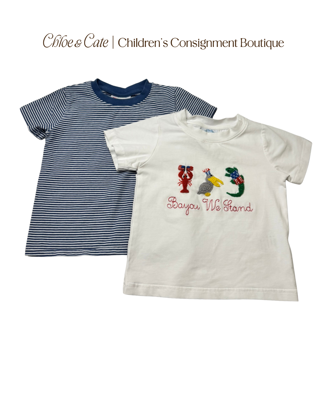 Boys Knit Tee Bundle 2T