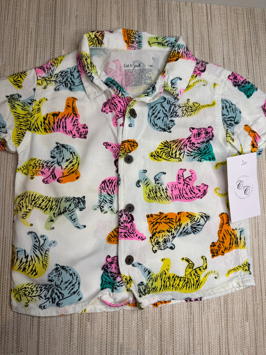 Boys Cat and Jack Tee 18m