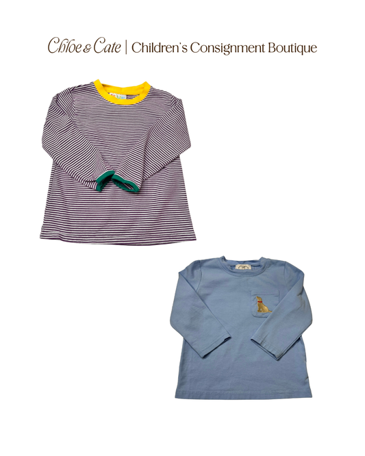 Boys Tee Bundle 2T