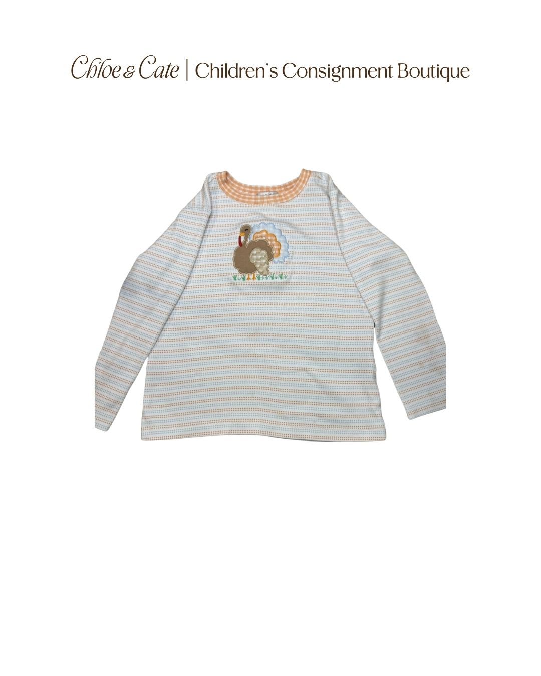 Boys Magnolia Baby Turkey Tee 3T