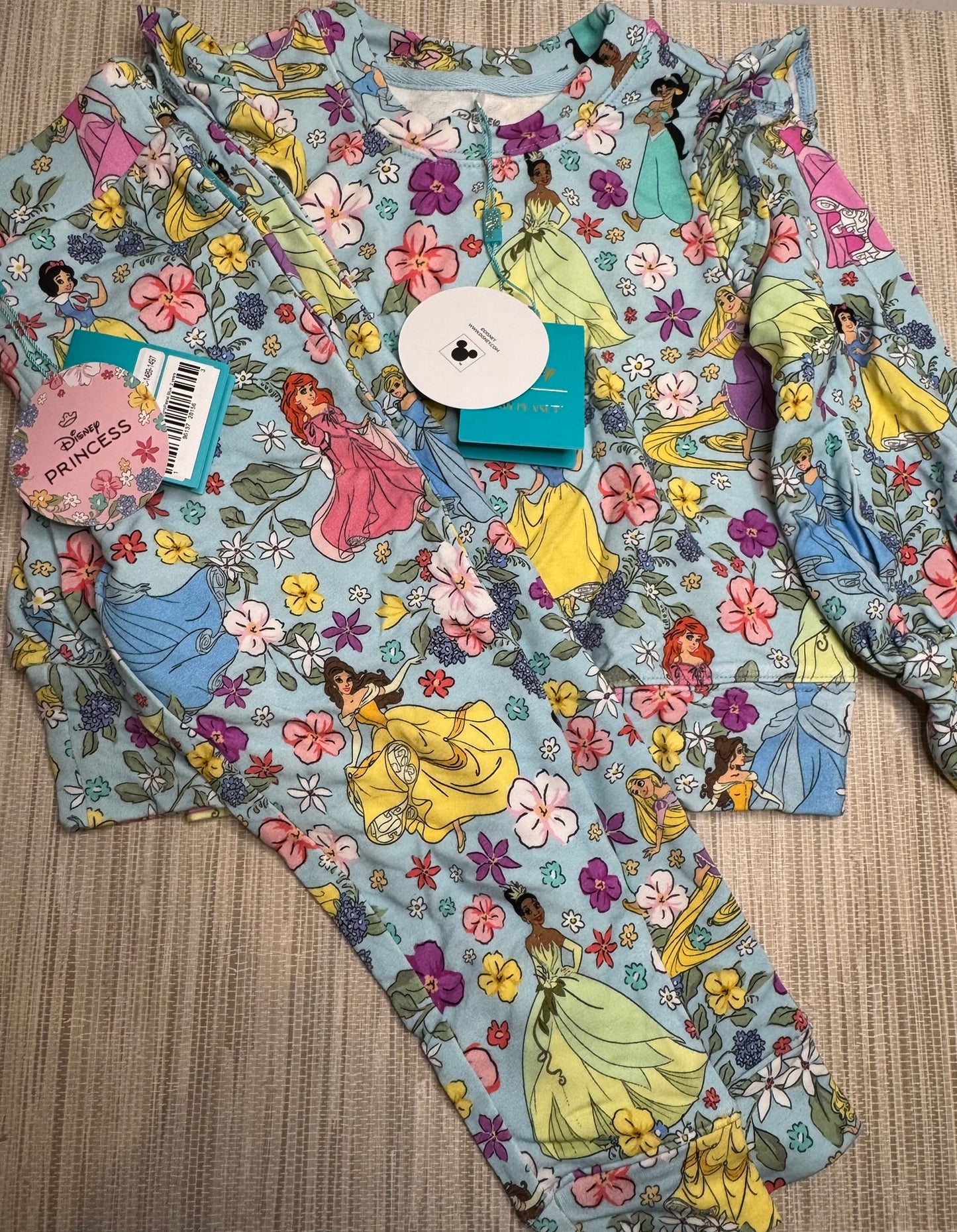 Girls Princess Sweatshirt and Jogger Set 2T